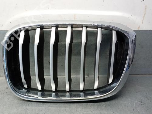 Used Grille BMW X3 (G01, F97, G08) xDrive 20 d Mild-Hybrid (190 hp) 28132922