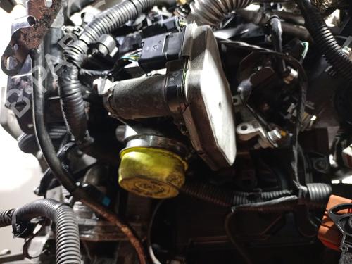 Engine LAND ROVER RANGE ROVER EVOQUE (L538) 2.2 D 4x4 | BP39208052M1 - Image 6
