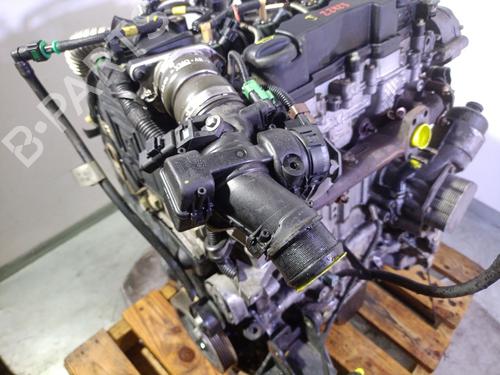 Engine SANTANA 300/350 1.6 HDi 4x4 | BP24846247M1