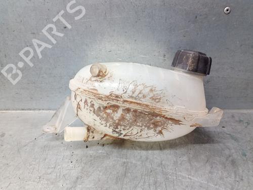 Used Expansion tank RENAULT EXPRESS Box Body/MPV 1.5 Blue dCi 75 (F6AA) (75 hp) 29220628