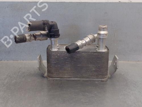 Oliekøler LAND ROVER RANGE ROVER SPORT I (L320) 3.0 D 4x4 | BP25245977M33 