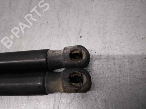 Tailgate lift support CITROËN C4 Picasso I MPV (UD_) 1.6 HDi | BP14329144C138 
