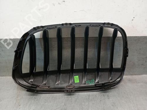 Grille BMW X1 (F48) sDrive 16 d | BP25919104C40 