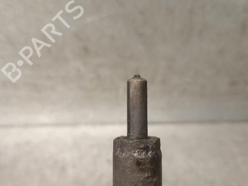 Injector FORD FOCUS C-MAX (DM2) 2.0 TDCi | BP29512513M100