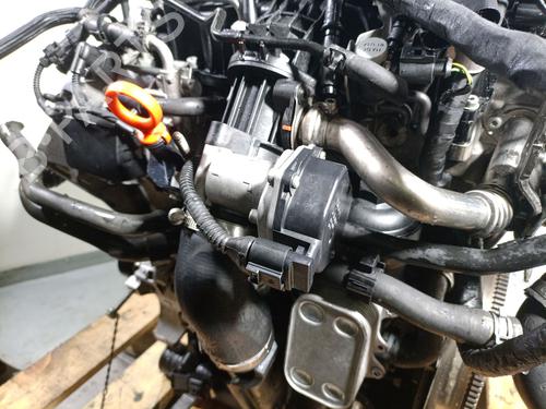 Engine VW TOURAN (1T3) 1.6 TDI | BP31882700M1 