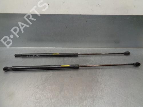 Tailgate lift support CITROËN ZX (N2)  | BP20264969C138 