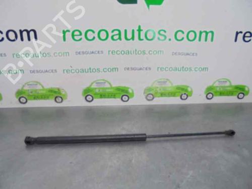 Tailgate lift support PEUGEOT 107 (PM_, PN_) 1.4 HDi 689500H020