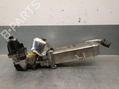 Egr AUDI A3 (8P1) 2.0 TDI 16V | BP29993430M69