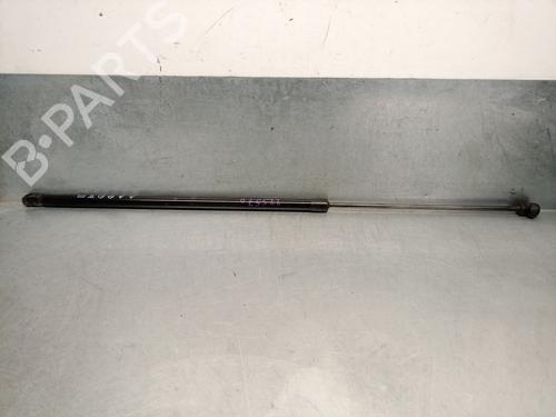 Used Hood lift support AUDI A3 Sportback (8YA, 8YF) 35 TFSI (150 hp) 25273840