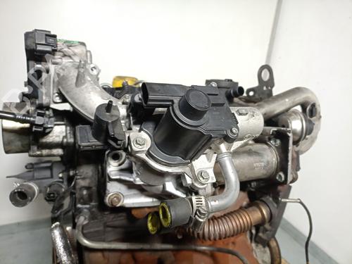Engine RENAULT KANGOO / GRAND KANGOO II (KW0/1_) 1.5 dCi 90 (KW05, KW08, KW0G, KW11) | BP31852871M1 