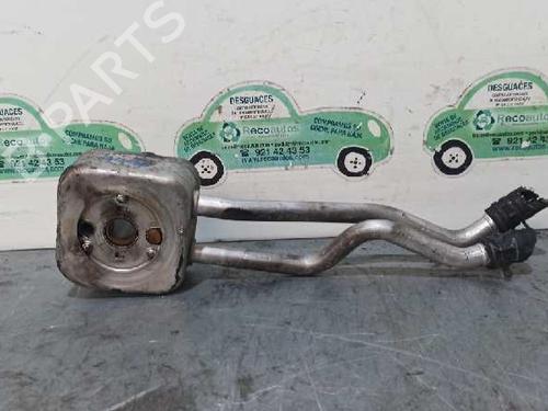 Oliekøler VW GOLF IV (1J1) 1.6 16V (105 hp) 20254438