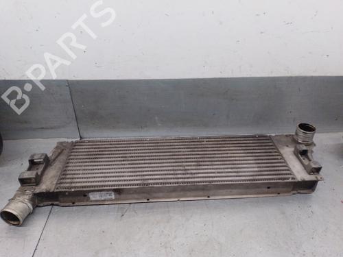 Intercooler RENAULT MEGANE II (BM0/1_, CM0/1_) 1.9 dCi (BM0G, CM0G) | BP28304089M30 