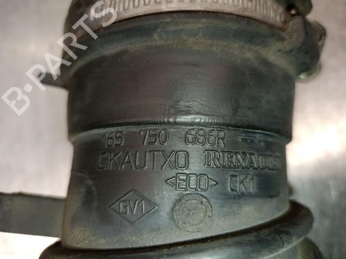 Pipe RENAULT KANGOO Express (FW0/1_) 1.5 dCi 75 (FW07, FW10, FW04) | BP29595497M125