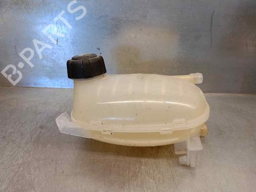 Used Expansion tank DACIA SANDERO II TCe 90 LPG (B8M1) (90 hp) 18322089