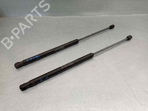 Used Hood lift support FIAT STILO (192_) 1.9 D Multijet (100 hp) 14332294