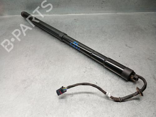 Tailgate lift support LAND ROVER RANGE ROVER SPORT I (L320) 3.0 D 4x4 | BP28337283C138 