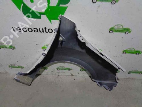 Left front fenders RENAULT KANGOO / GRAND KANGOO II (KW0/1_) 1.5 dCi 70 (KW0V, KW0A) | BP6109919C41 