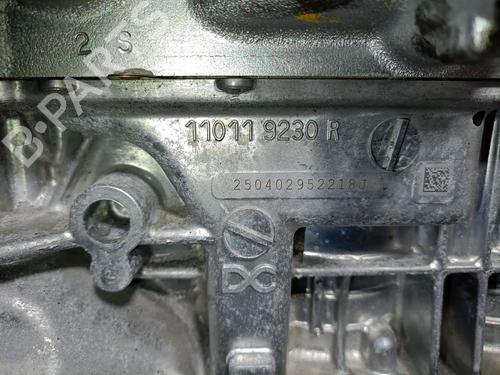 Engine DACIA SANDERO III 1.0 TCe 90 | BP33695388M1  - Image 10