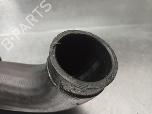 Pipe BMW 3 (E46) 320 d | BP20265463M125
