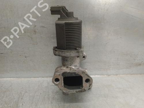 Egr FIAT PANDA (169_) 1.3 D Multijet (169AXG1A, 169AXD1A) | BP29626264M69 