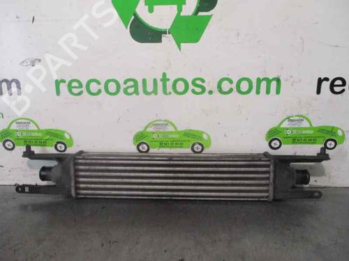 Intercooler FIAT GRANDE PUNTO (199_) 1.3 D Multijet | BP4399057M30 