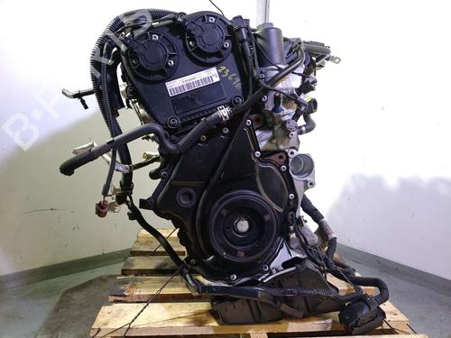 Motor für AUDI A5 (F53, F5P) 2.0 TFSI (252 hp) 30103685