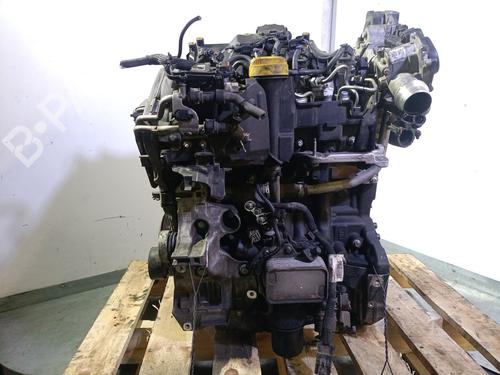 Motor RENAULT EXPRESS Box Body/MPV 1.5 Blue dCi 75 (F6AA) | BP29305671M1 