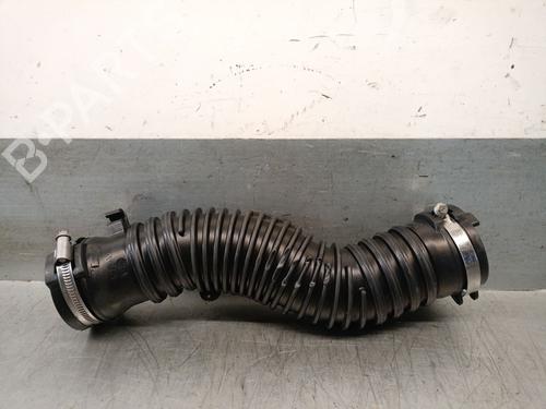 Rør RENAULT GRAND SCÉNIC III (JZ0/1_) 1.9 dCi (JZ0J, JZ0N, JZ1K, JZ1S) (131 hp) 29244971