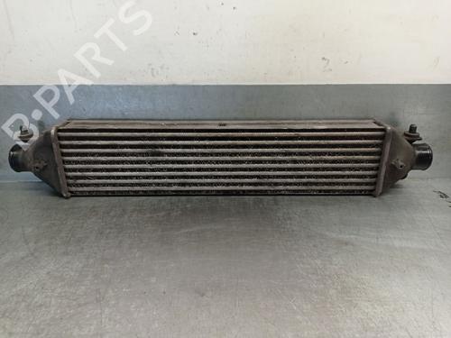 Used Intercooler FIAT DOBLO Cargo (263_) 1.3 D Multijet (90 hp) 27807476