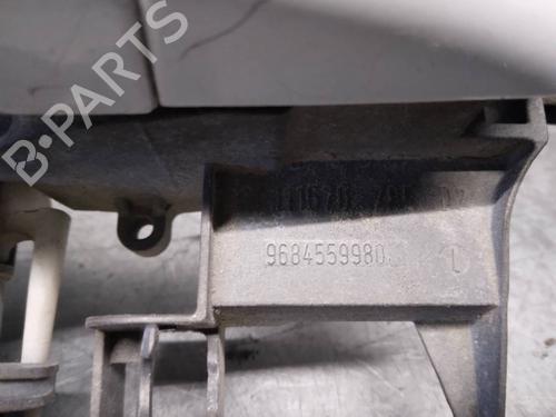 Rear right exterior door handle CITROËN C3 I (FC_, FN_) 1.4 HDi | BP17831874C130 