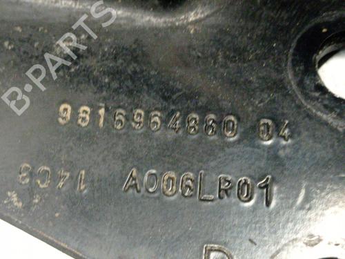 Hinge/Door check strap OPEL COMBO Box Body/MPV (K9) 1.5 D | BP31940069C146