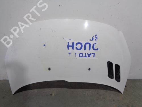 Used Hood PEUGEOT 206+ (2L_, 2M_) 1.4 HDi eco 70 (68 hp) 12057044