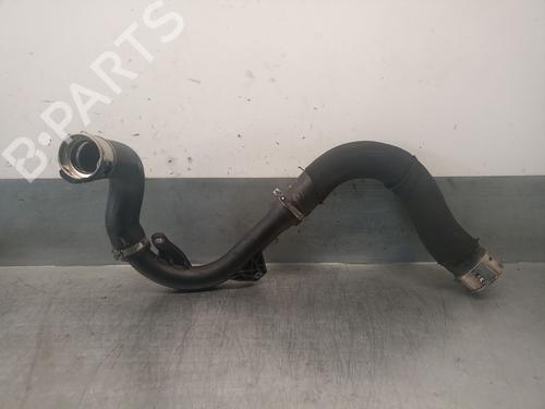 Pipe DACIA SANDERO III 1.0 TCe 90 | BP29505956M125