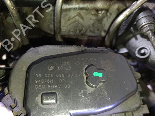 Engine PEUGEOT 2008 I (CU_) 1.6 BlueHDi 100 | BP29973243M1 