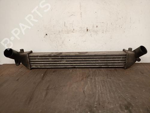 Intercooler Intercooler RENAULT CLIO II (BB_, CB_) 1.5 dCi (B/C2J) (68 hp) 36132819 36132819