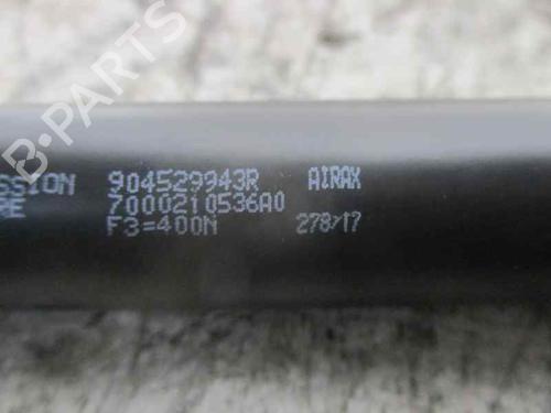Tailgate lift support DACIA SANDERO II 1.0 SCe 75 (B8JC, B8JD, B8NC) | BP20257574C138 
