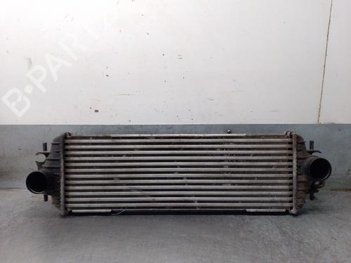 Intercooler RENAULT TRAFIC II Van (FL) [2001-2026]  31171702