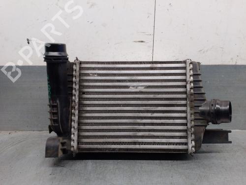 Used Intercooler RENAULT CLIO IV (BH_) 1.5 dCi 90 (90 hp) 30120480
