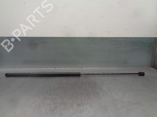 Hood lift support VOLVO V50 (545) D5 | BP21020987C139 