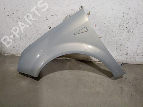Used Left front fenders RENAULT GRAND SCÉNIC II (JM0/1_) 1.9 dCi (JM0G, JM12, JM1G, JM2C) (120 hp) 25024812