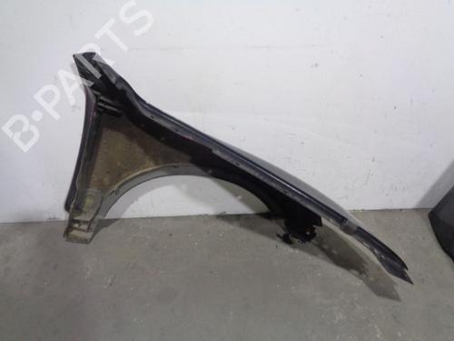 Left front fenders VW TOUAREG (7LA, 7L6, 7L7) 5.0 V10 TDI | BP12056372C41 