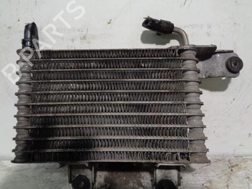 Intercooler HYUNDAI XG (XG) 30 | BP10360918M30 