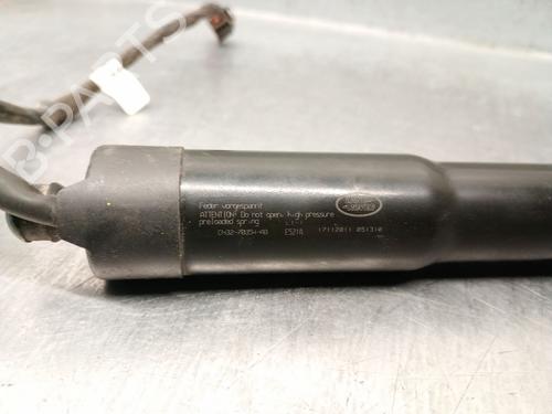 Tailgate lift support LAND ROVER RANGE ROVER SPORT I (L320) 3.0 D 4x4 | BP28337283C138 