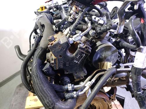 Engine FIAT 500L (351_, 352_) 1.3 D Multijet (199.LYM11, 199.LYM1A) | BP29418937M1 