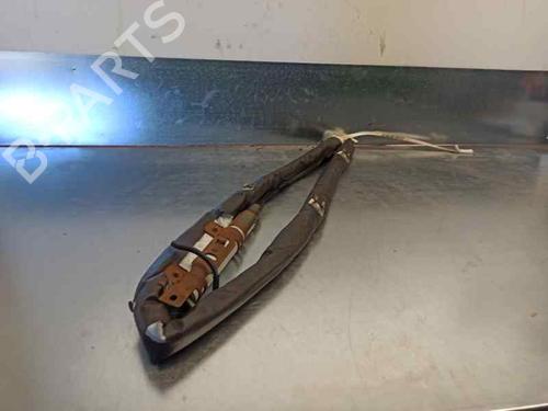 Left curtain airbag RENAULT SCÉNIC III (JZ0/1_) 1.4 16V (JZ0F, JZ1V) | BP5887469C11 