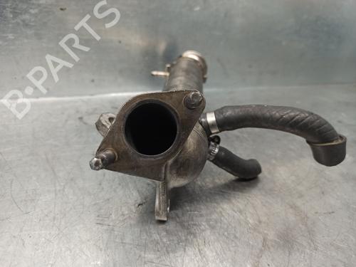 Egr RENAULT VEL SATIS (BJ0_) 3.0 dCi (BJ0J, BJ0N) | BP20263990M69 
