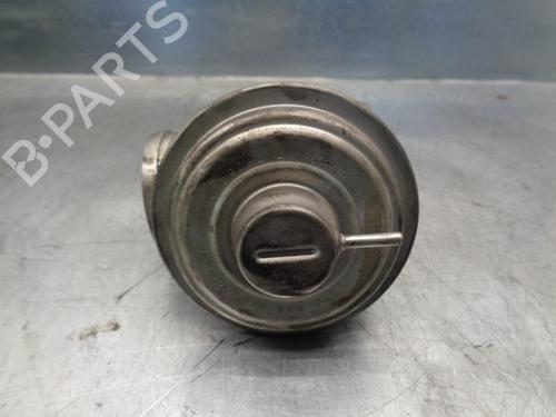 Egr BMW 3 Touring (E46) 320 d | BP10718717M69 