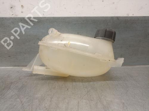 Used Expansion tank RENAULT EXPRESS Box Body/MPV 1.5 Blue dCi 75 (F6AA) (75 hp) 29480023