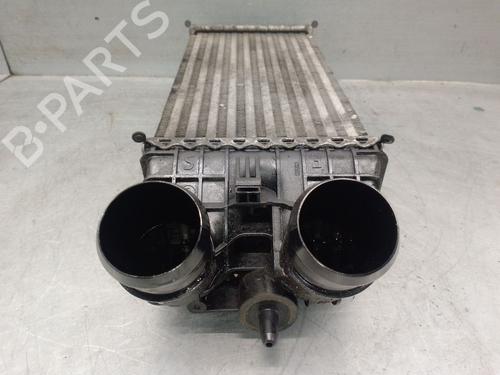 Intercooler PEUGEOT 208 I (CA_, CC_) 1.6 BlueHDi 100 | BP29335916M30 