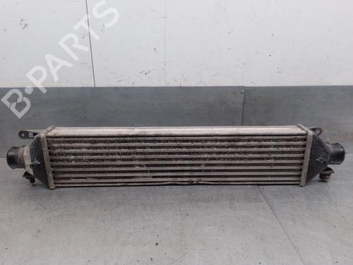 Intercooler FIAT BRAVO II (198_) 1.9 D Multijet (198AXC1B) | BP28289521M30